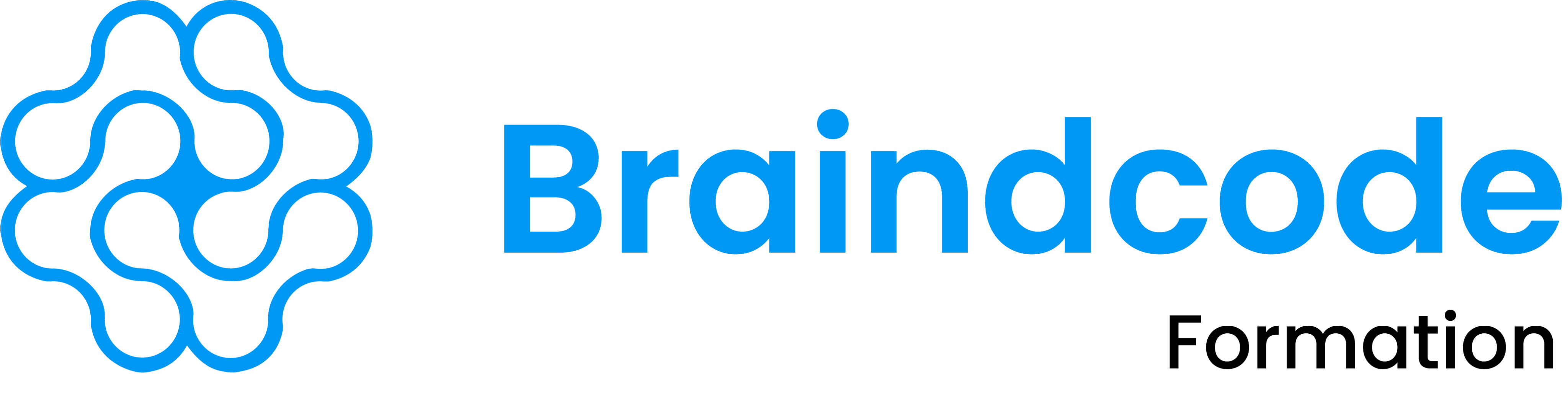 Braindcode Formation